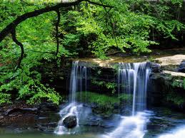 The Butterfly Gorge Nature Parkcar rental